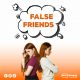 FALSE FRIENDS BLOG MULTIDIOMAS